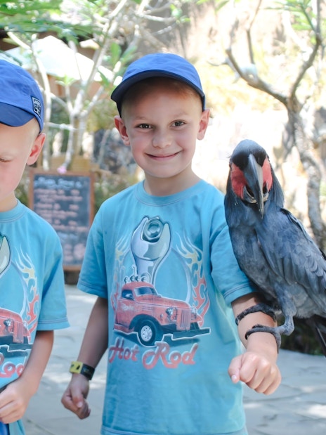 Little kids with colorful birds at Lombok Wildlife Park.