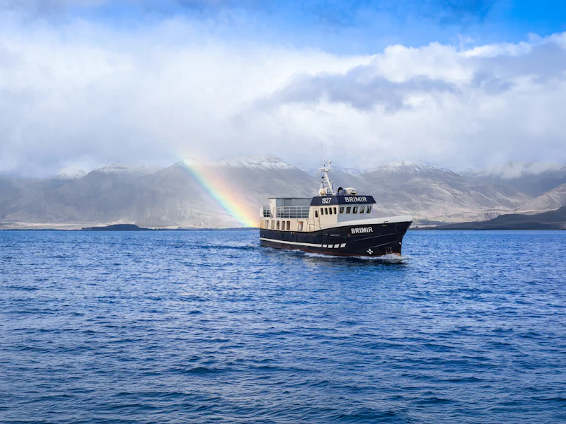 Akureyri Whale Watching Small Group Boat Tour - Reykjavík
