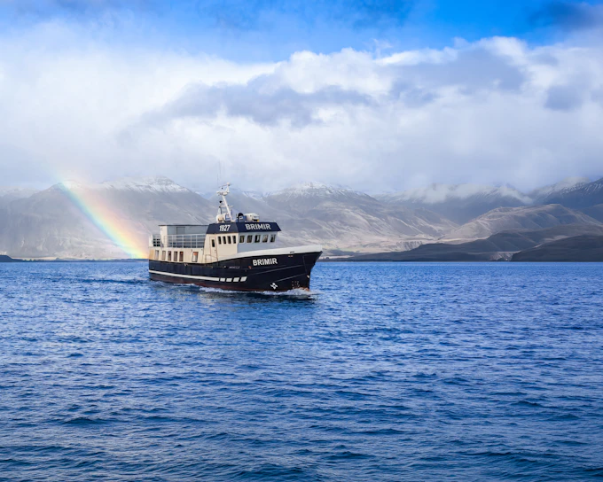 Akureyri: Whale Watching Small Group Boat Tour