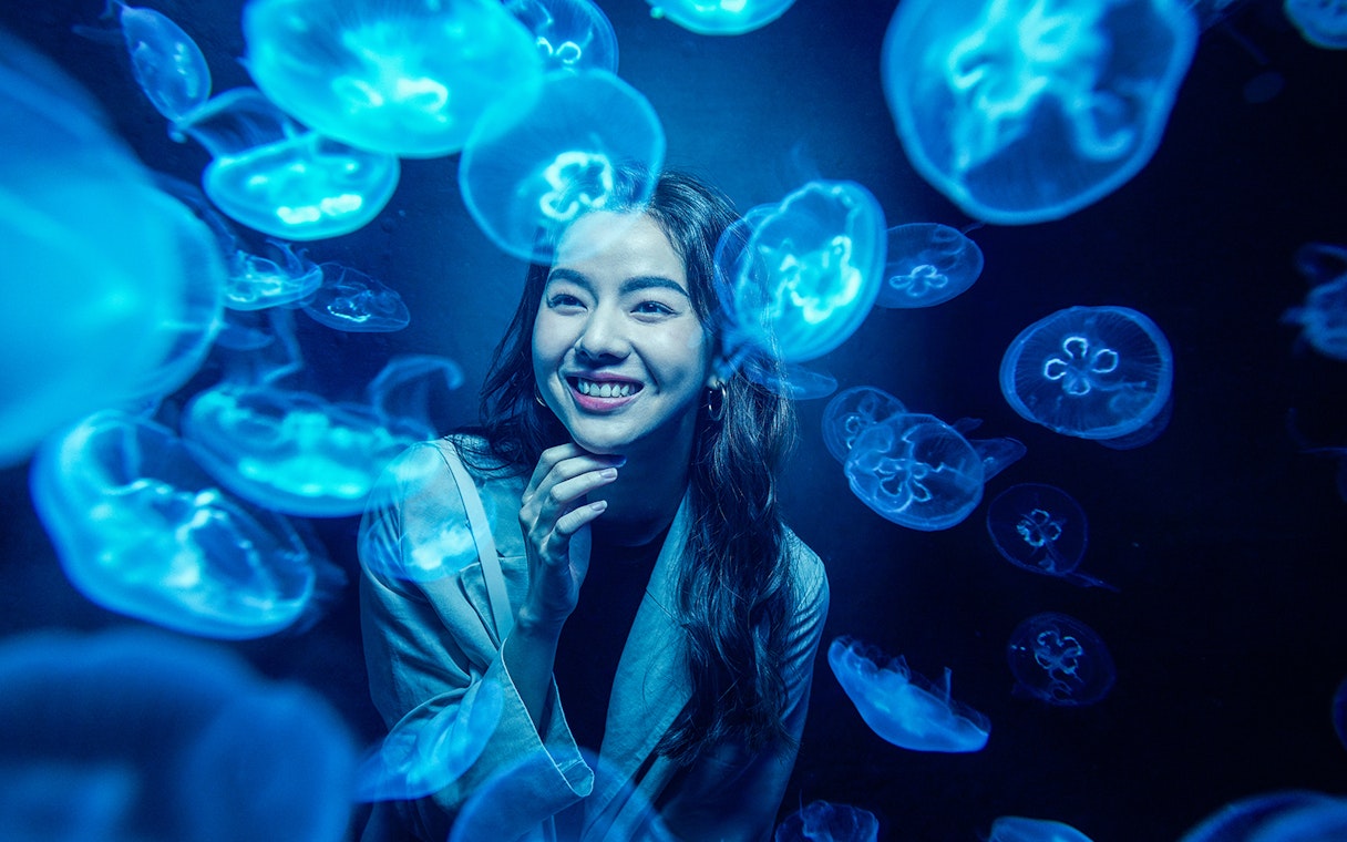 Woman observing jellyfish at S.E.A. Aquarium Singapore.