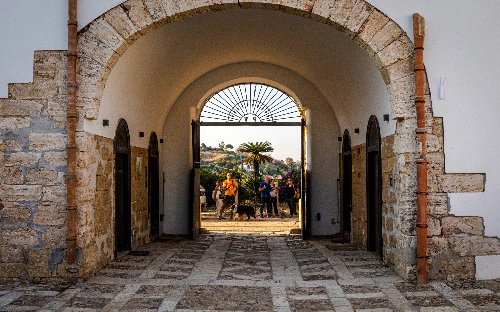 Alcamo Farm-to-Table Guided Organic Wine Tasting with 4-Course Meal Image 2