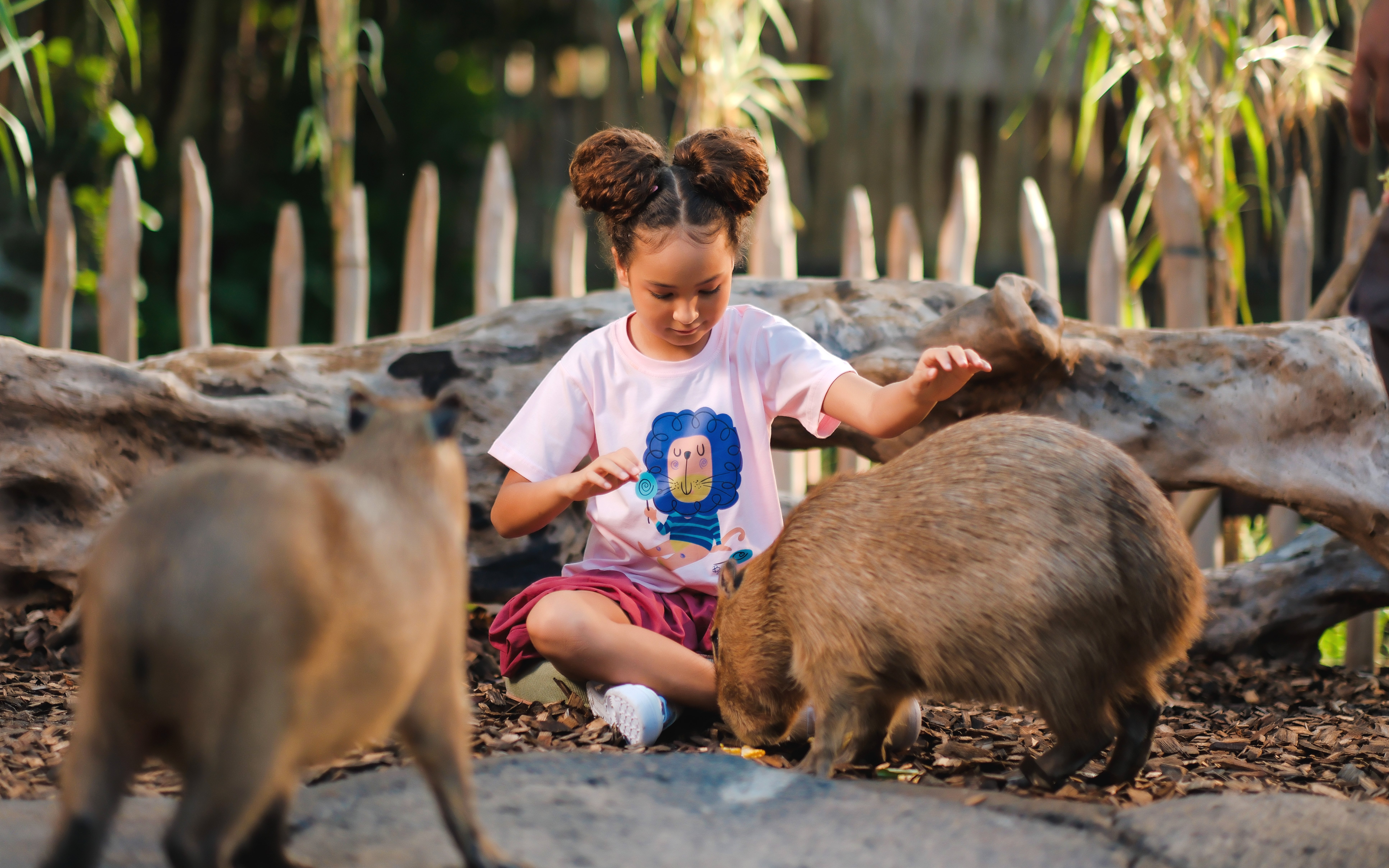 Child interacting with capybaras at Bali Zoo.