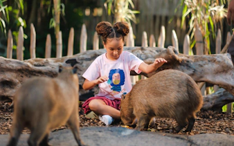 Child interacting with capybaras at Bali Zoo.