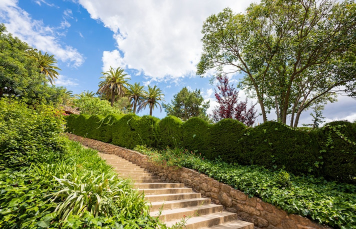 Forest Zone - Park Guell - Barcelona