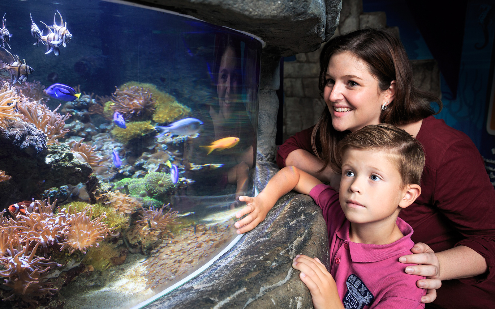 SEA LIFE Timmendorfer Strand timings