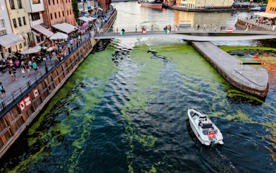 Guests navigating a self-drive electric boat under a bridge in Gdansk.