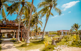 Outdoor seating area with palm trees and a wooden deck on Rosario Islands, Cartagena.