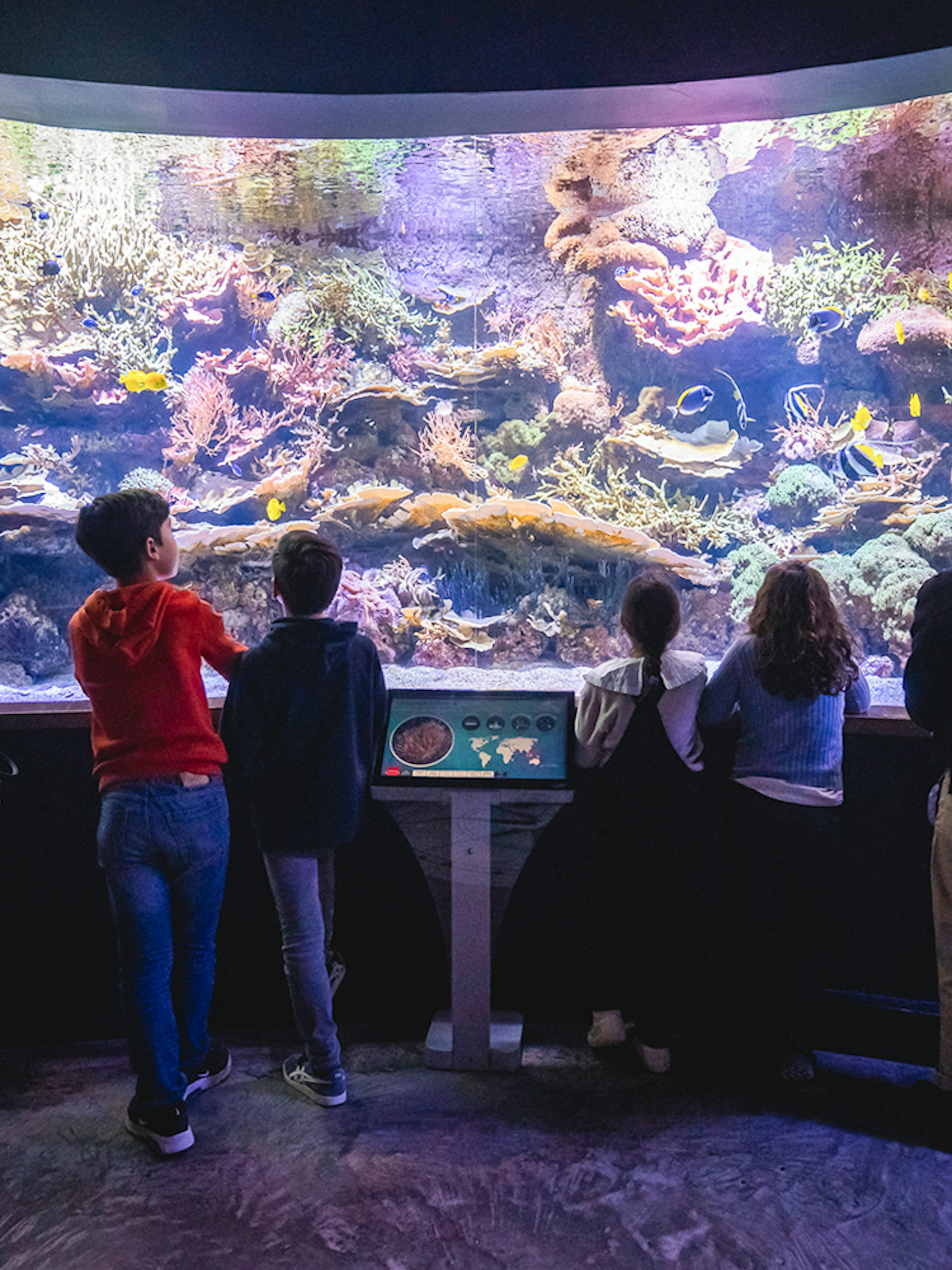 Visitors observing colorful corals and marine life at Seville Aquarium, Spain.