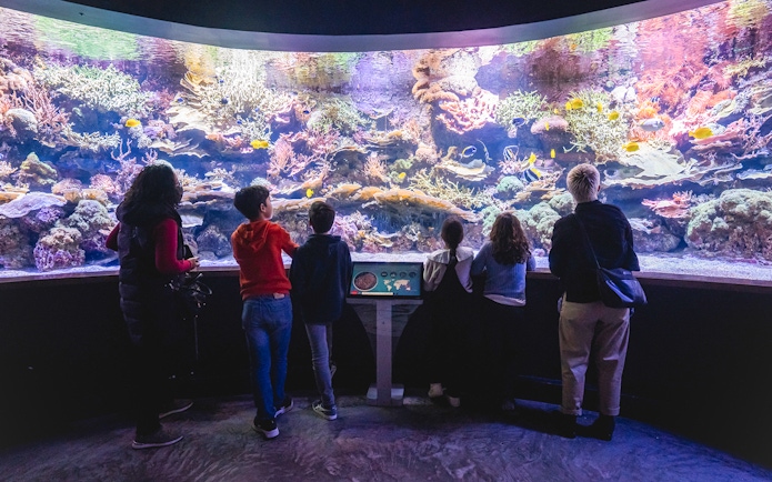 Visitors observing colorful corals and marine life at Seville Aquarium, Spain.