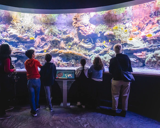 Seville Aquarium Tickets