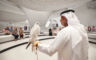 Bird show at Zayed National Museum, Abu Dhabi with audience seated in modern amphitheater.