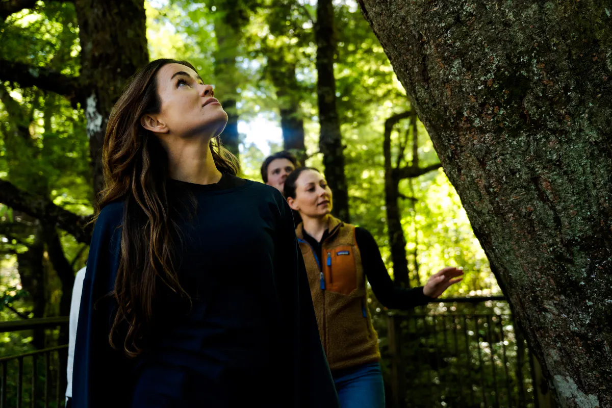 Small group exploring forest on Milford Sound Discover More Cruise, Te Anau.