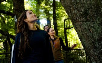 Small group exploring forest on Milford Sound Discover More Cruise, Te Anau.