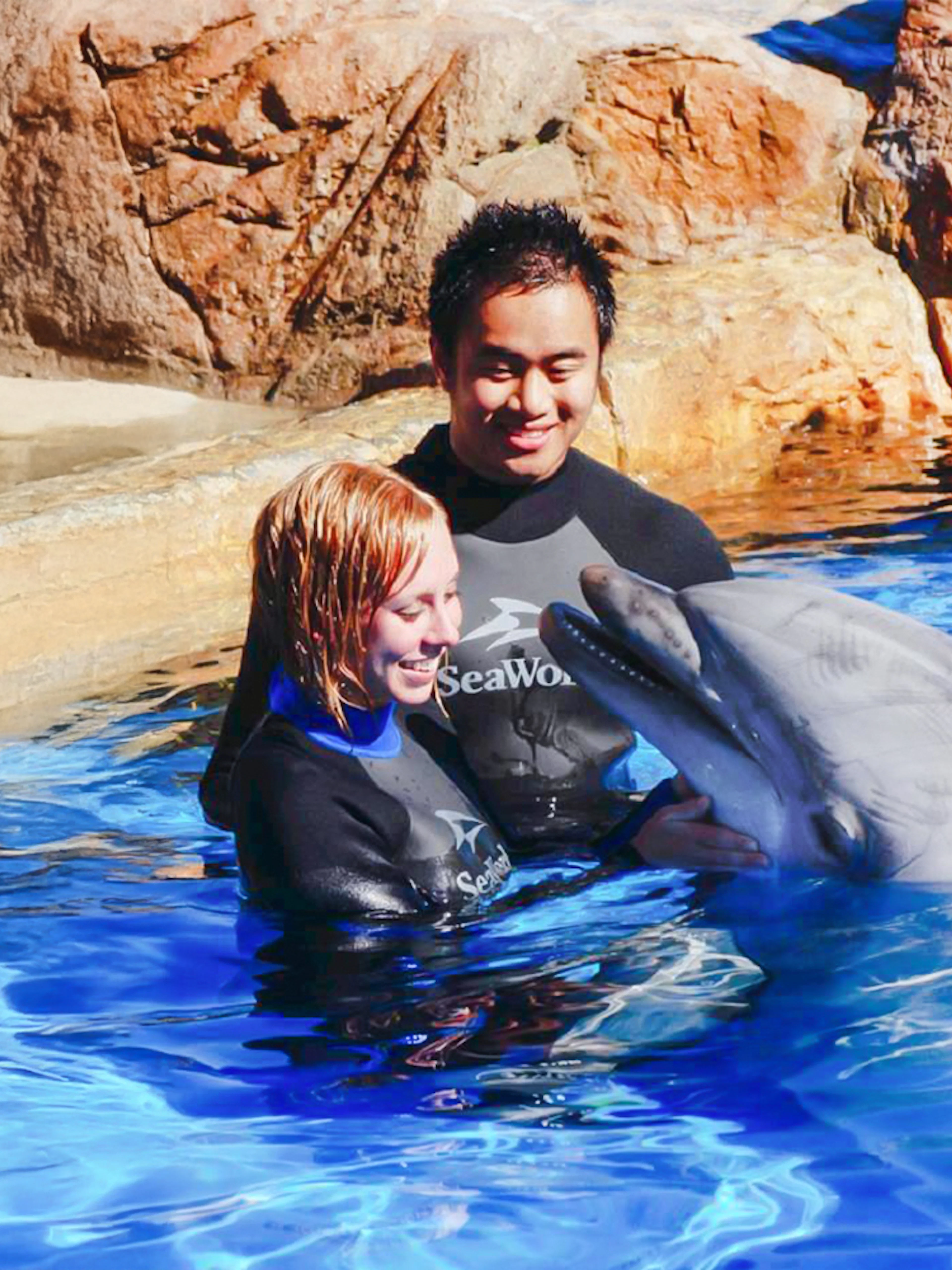 SeaWorld San Diego staff interacting with a dolphin in a pool.