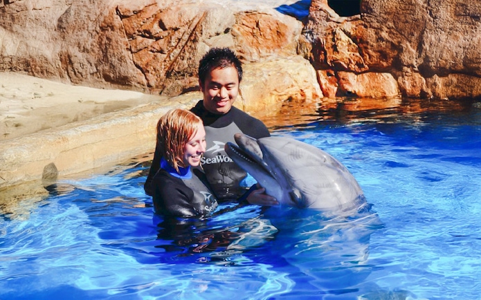 SeaWorld San Diego staff interacting with a dolphin in a pool.