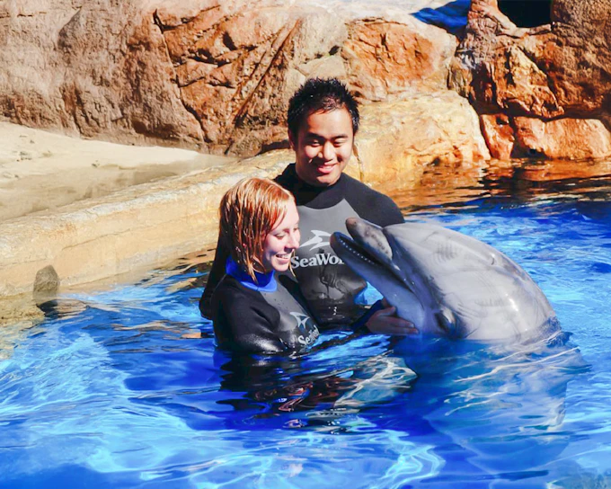 SeaWorld San Diego 2-Day Tickets