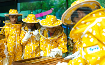 Beekeeping workshop at Terra, Expo City Dubai with participants in protective gear.