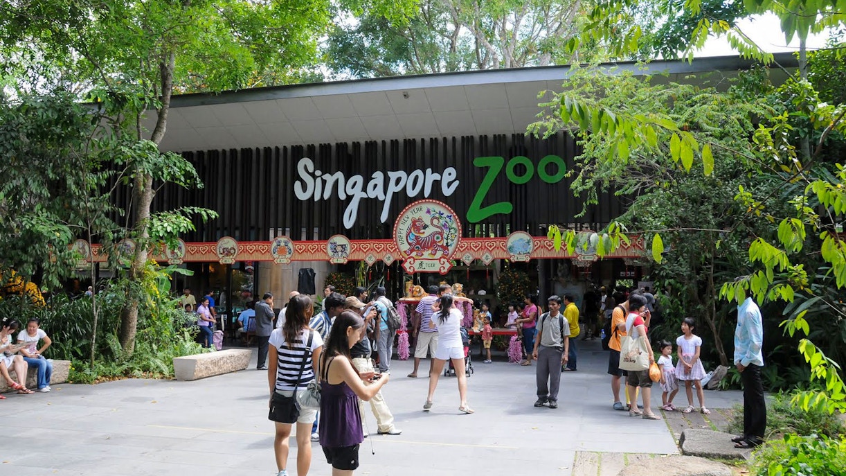 Visitors at the entrance of Singapore Zoo surrounded by lush greenery.