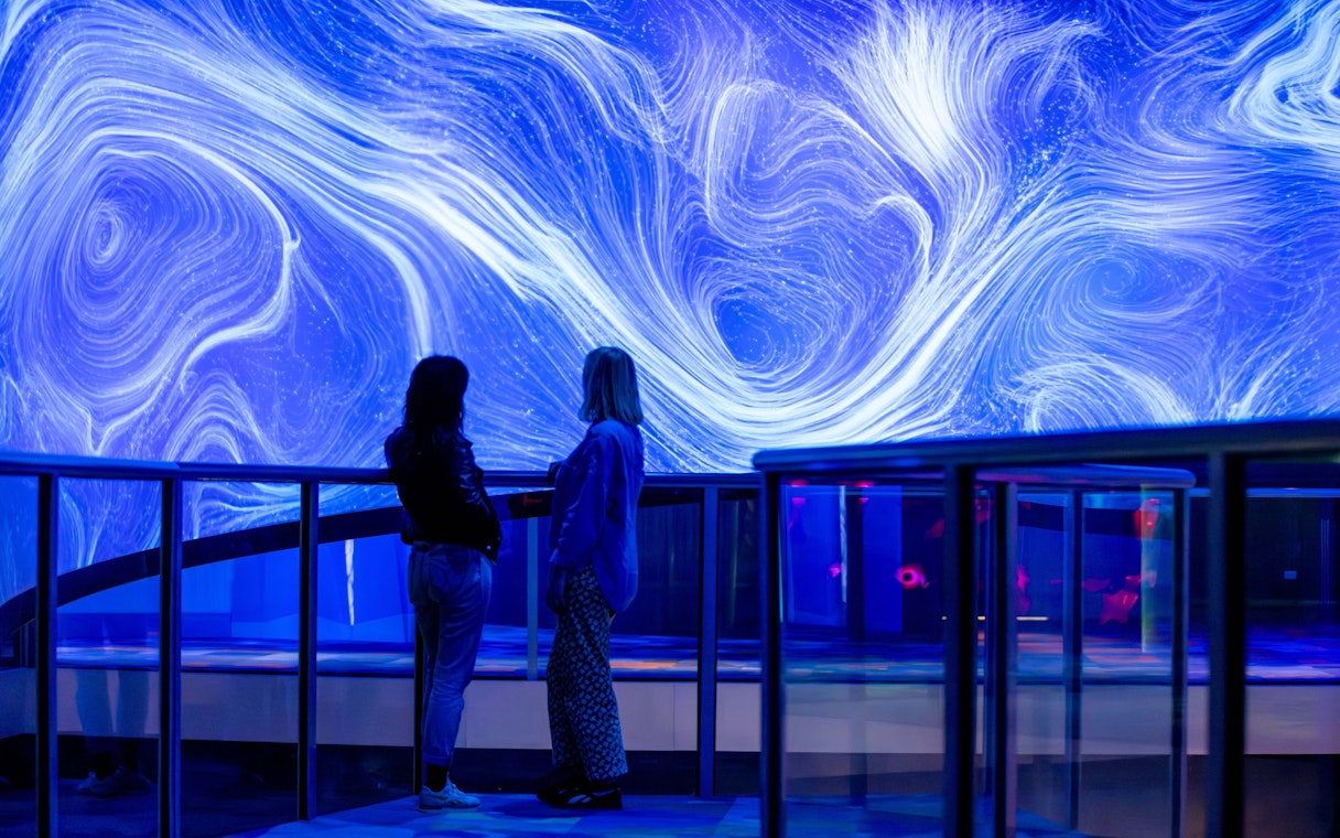 Visitors viewing "Our Wondrous Planet" exhibit at Melbourne Museum.