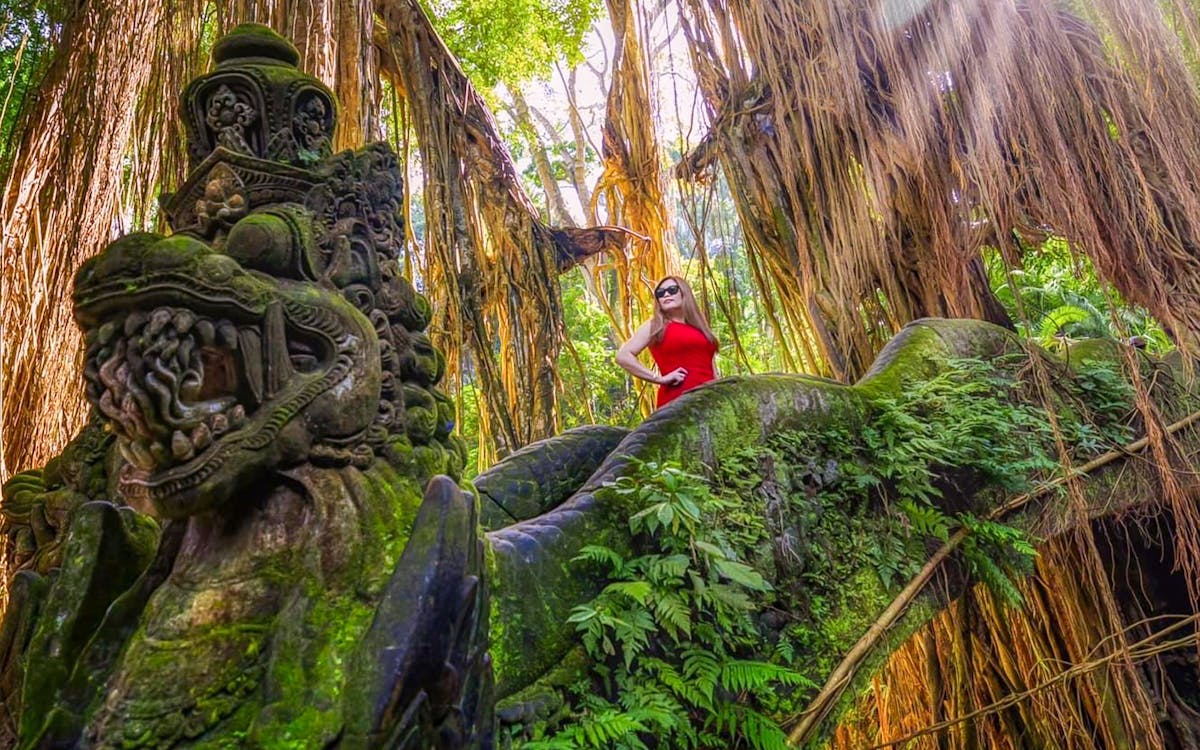guided day tour of ubud with round-trip hotel transfers-3 guided day tour of ubud with round-trip hotel transfers-3