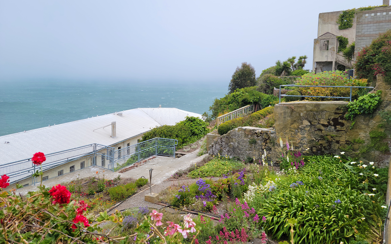Alcatraz Island garden with colorful flowers overlooking the ocean.