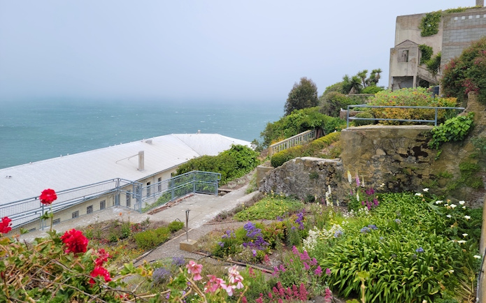 Alcatraz Island garden with colorful flowers overlooking the ocean.