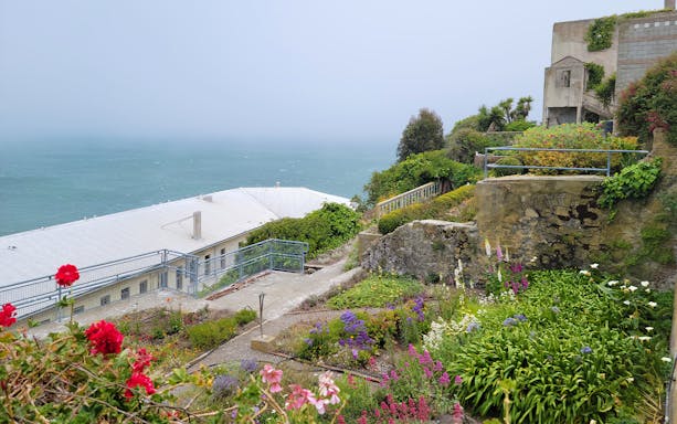 Alcatraz Island garden with colorful flowers overlooking the ocean.