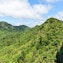 Pirongia