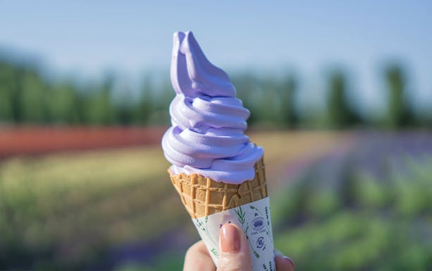 Lavender ice cream cone held in front of Furano flower fields, Hokkaido.