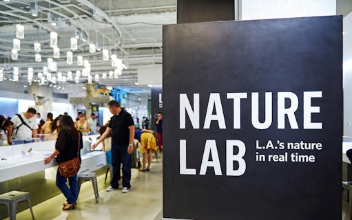 bilete la muzeul de istorie naturală al comitatului los angeles-4