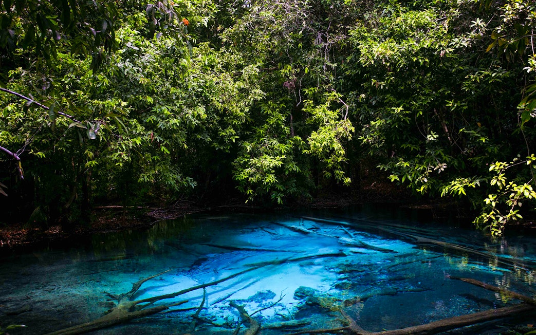 Emerald pool surrounded by lush greenery in Krabi, Thailand.