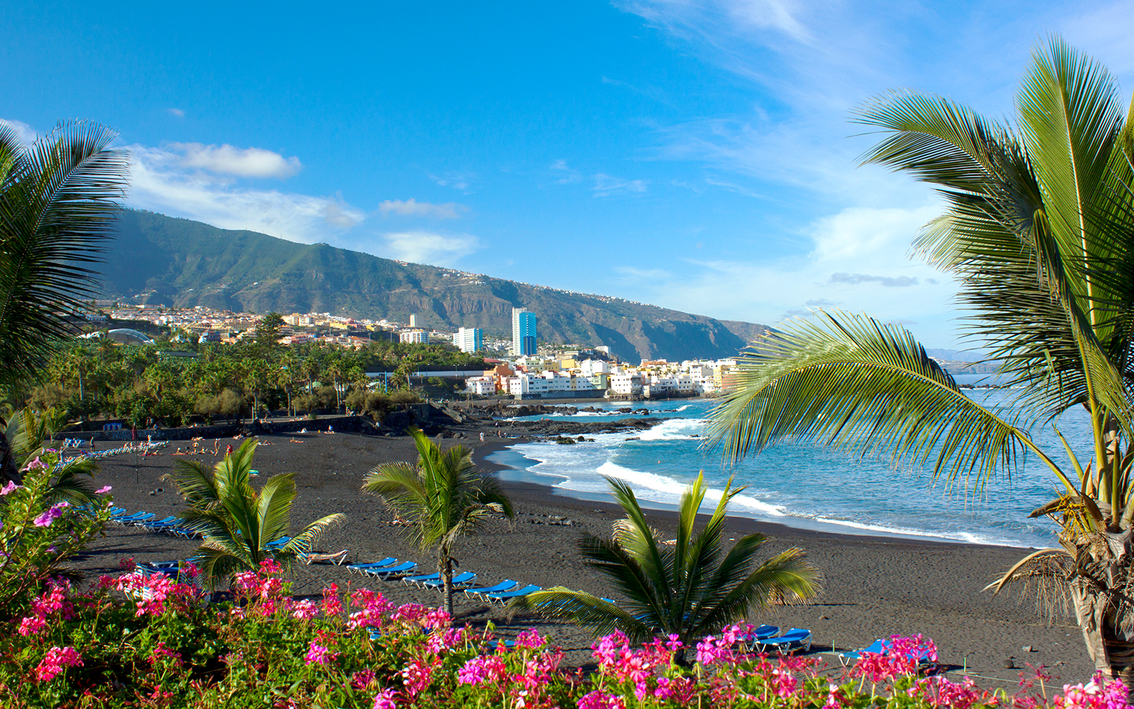 Black sand beach with palm trees and ocean view at Playa Ciudad Jardin, Mallorca.