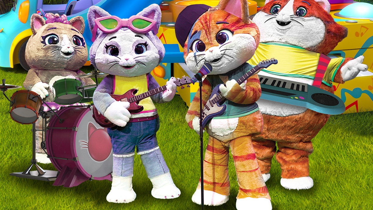 shows