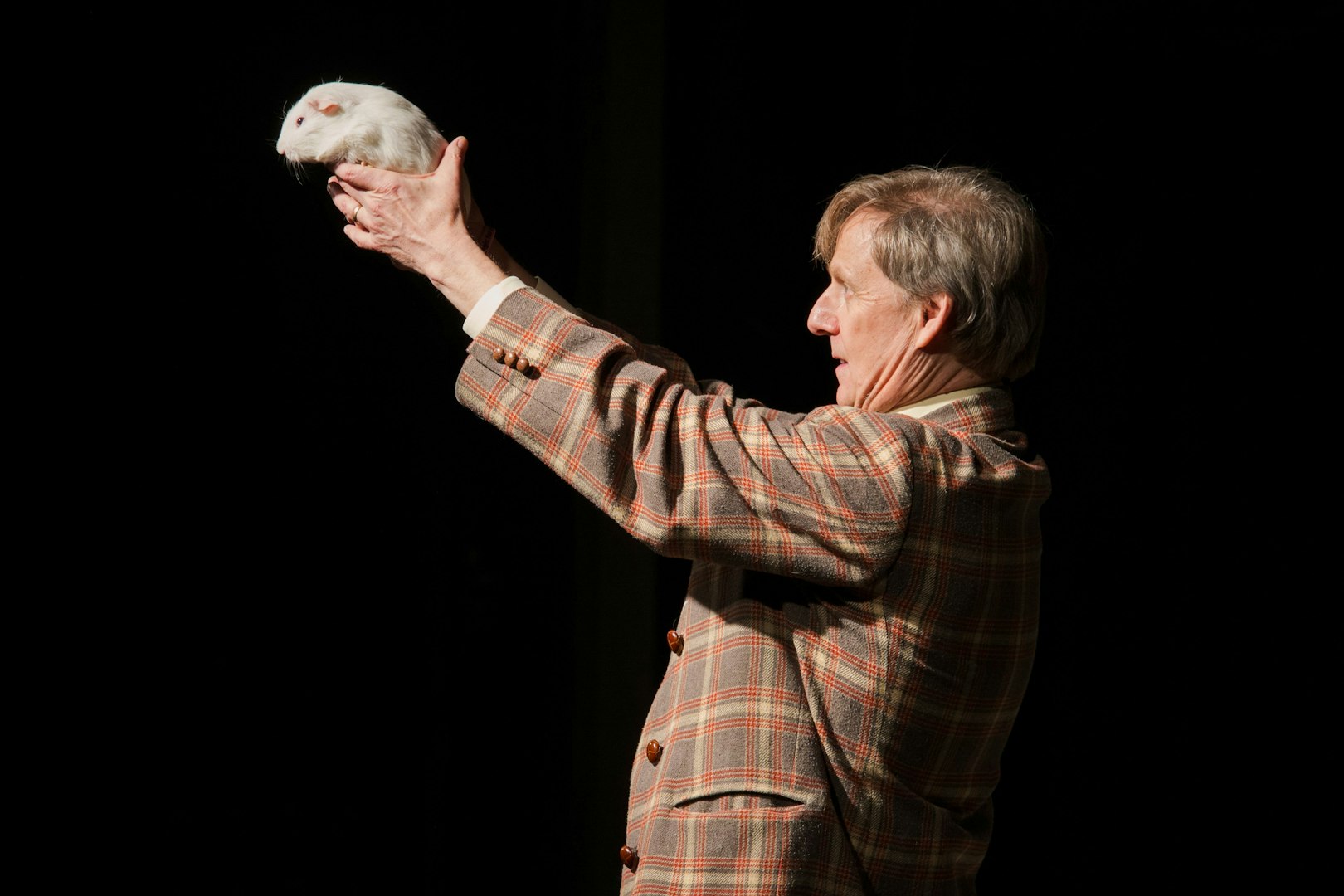 Magician holding a guinea pig during The Mac King Comedy Magic Show in Vegas.