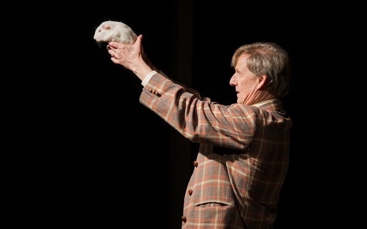 Magician holding a guinea pig during The Mac King Comedy Magic Show in Vegas.
