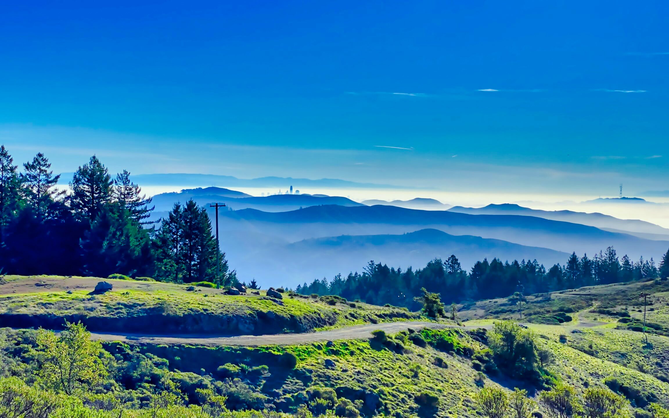 Rolling hills and distant mountains in Marin County, California.
