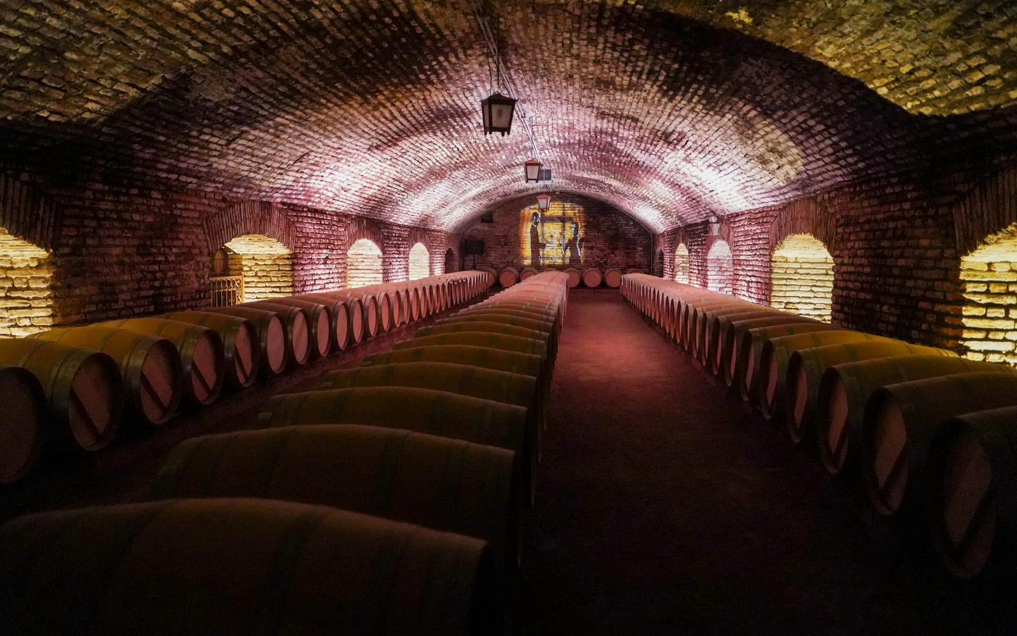 Wine barrels in the Concha y Toro Winery cellar, Chile.