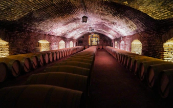 Wine barrels in the Concha y Toro Winery cellar, Chile.