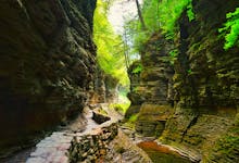 Watkins Glen State Park Ticket