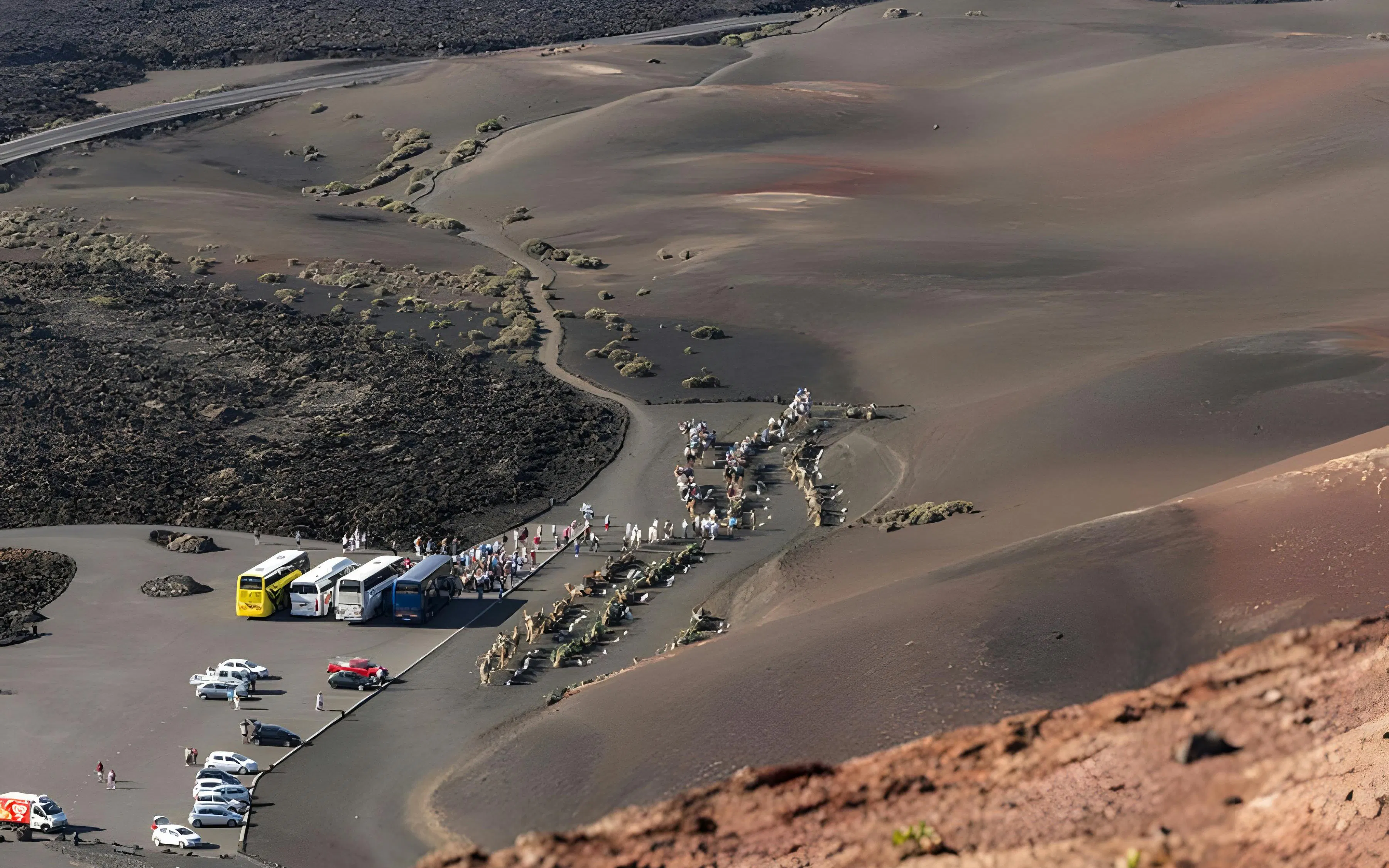 Aerial view of tourist buses and camel rides at Timanfaya National Park, Lanzarote.