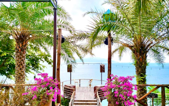 da nang private instagram cafés & photo spots walking tour with coffee tasting-1