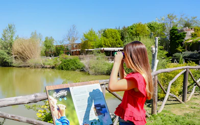 Tourist using binoculars at Oltremare park viewing area.
