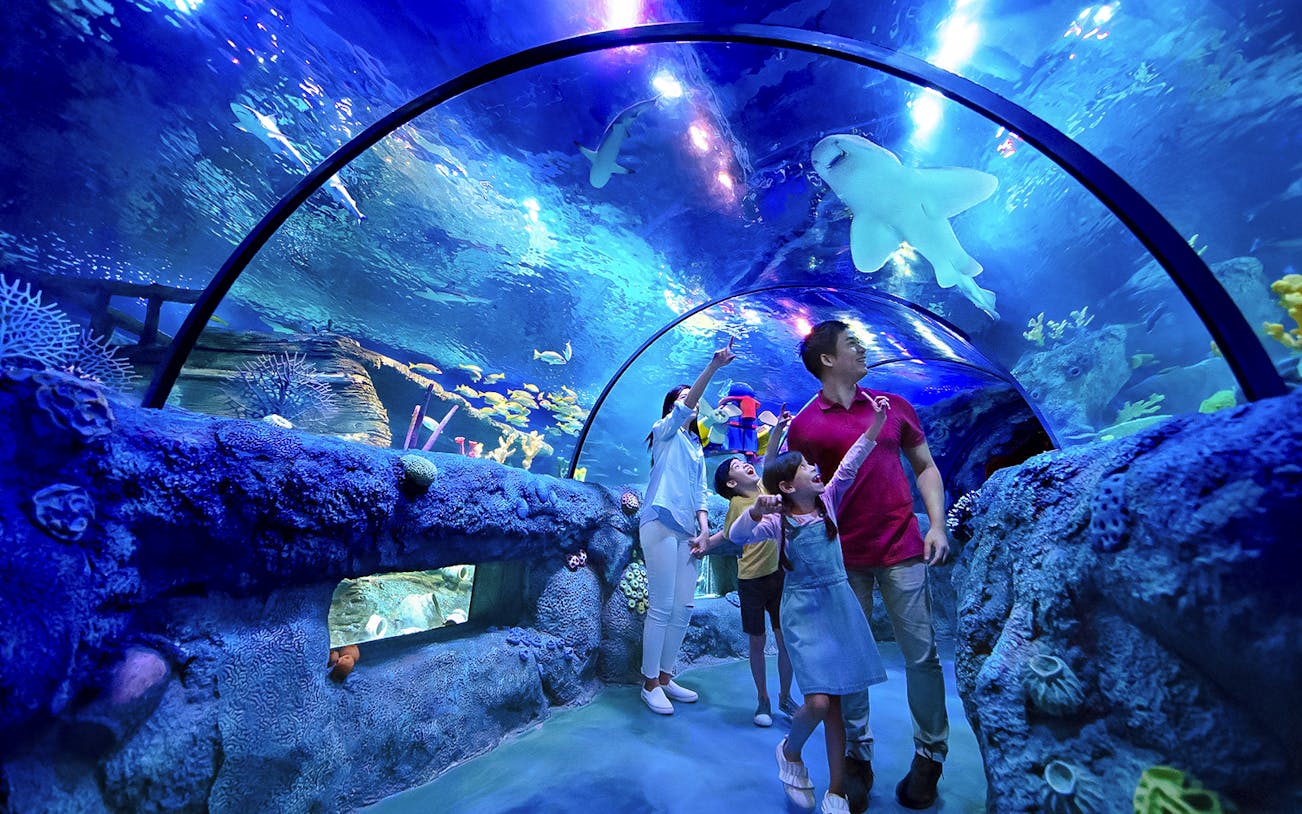 Family exploring ocean tunnel at Sea Life Aquarium, Legoland Malaysia.
