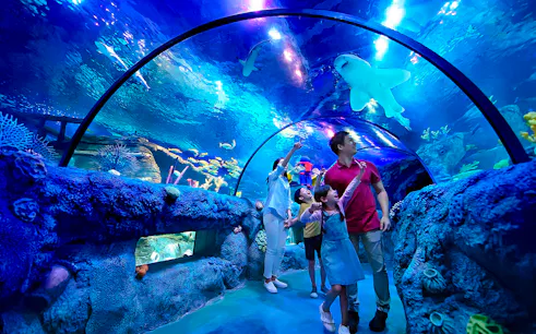 Family exploring ocean tunnel at Sea Life Aquarium, Legoland Malaysia.