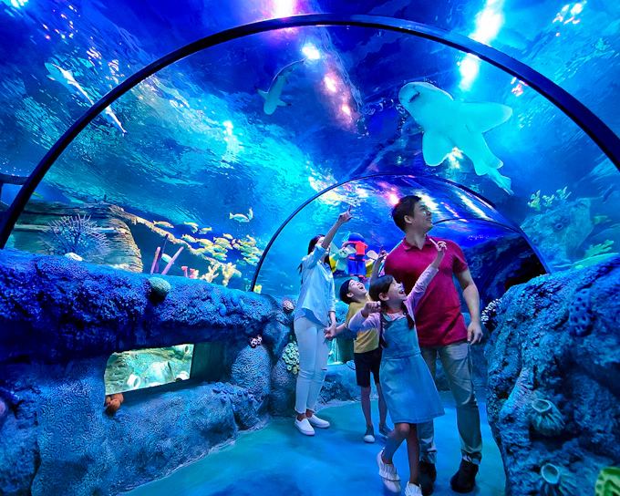 LEGOLAND® Malaysia SEA LIFE