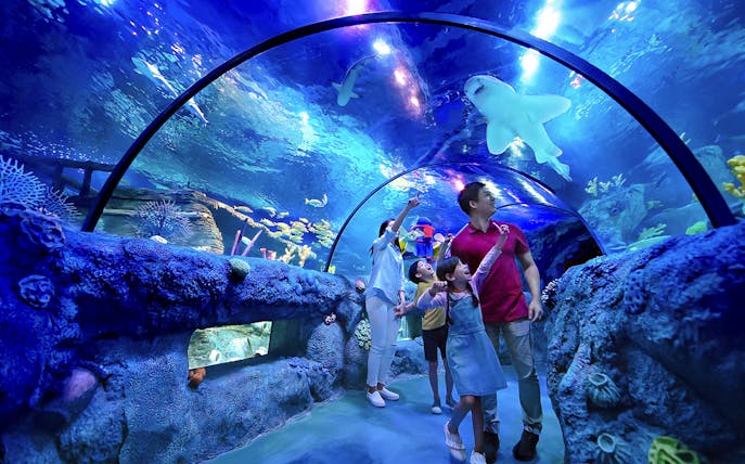 Family exploring ocean tunnel at Sea Life Aquarium, Legoland Malaysia.