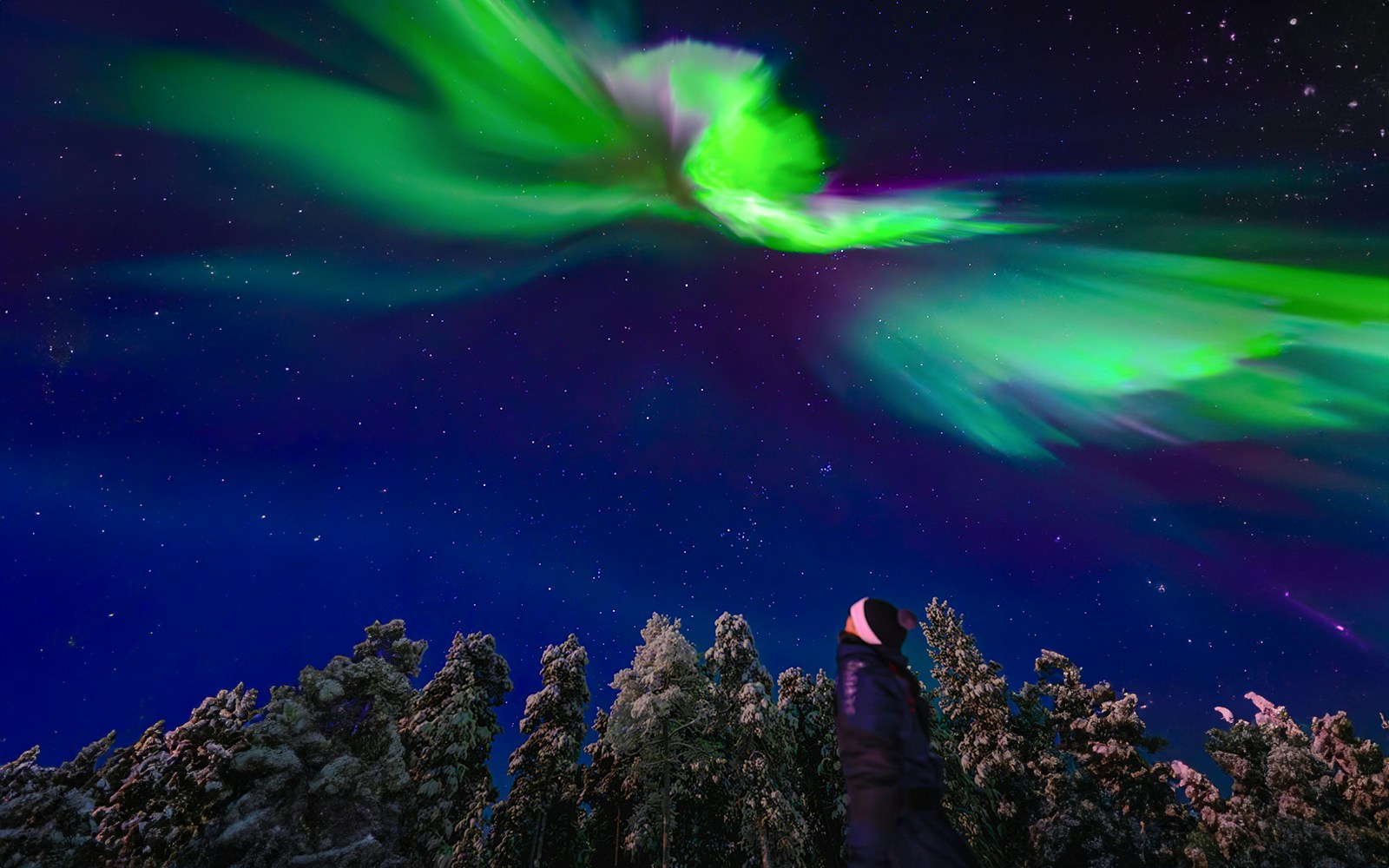 Person observing northern lights during AURORA PRO photography expedition.