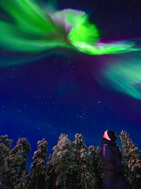 Person observing northern lights during AURORA PRO photography expedition.