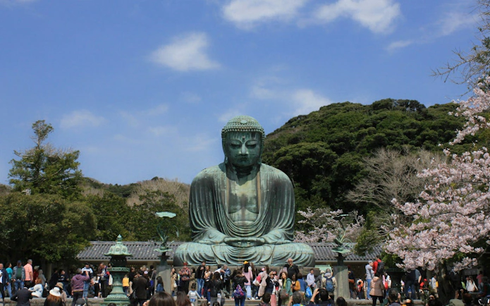 Kamakura Great Buddha with visitors, surrounded by trees and cherry blossoms, under a clear sky.