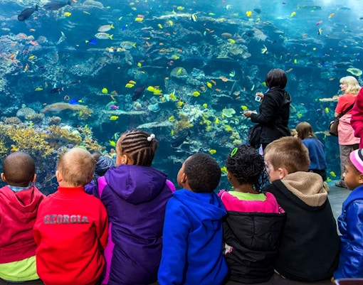 Children observing marine life at Georgia Aquarium, Atlanta.